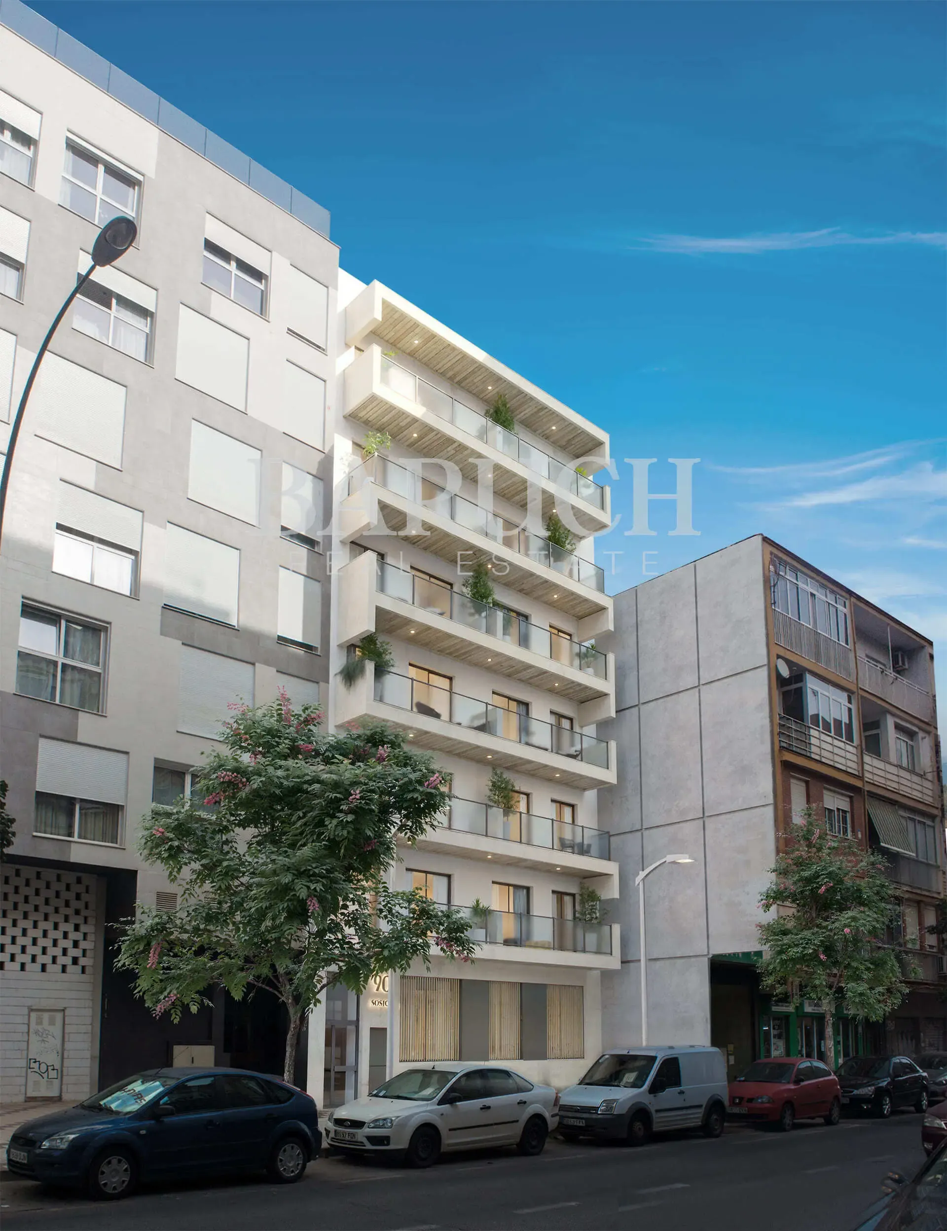 Imagen 12